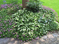 Klicken Sie auf die Vorschau, um das Vollbild zu sehen 2b%20näher.JPG